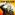 Kim Wilson - Slow Burn CD