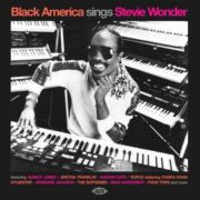 V/A - Black America Sings Stevie Wonder CD