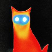 Basement - WIRED LP