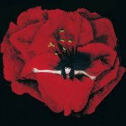 Smashing Pumpkins – Adore 2LP