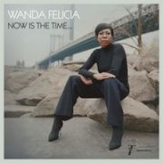 WANDA FELICIA & COLD DIAMOND & MINK - Now is the time LP