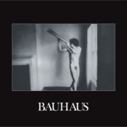 Bauhaus - In the Flat Field LP