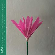 Kiri ra! - nen D