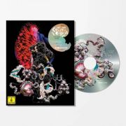 Björk - Cornucopia Live 4K UHD