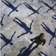 MUSE - Absolution CD