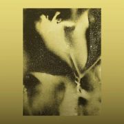 Flying Lotus – 1983 LP Gold Splatter Vinyl RSD 2026 RELEASE