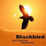 Jaco Pastorius & Rashied Ali - Blackbird LP Music On Vinyl Limited edition on translucent green coloured vinyl UUSI