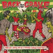 V/A - Back From The Grave VOLUME TEN LP UUSI Crypt Records