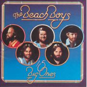 BEACH BOYS - 15 big ones/Love you CD