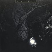 COCTEAU TWINS - Pink Opaque LP