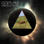 GOV’T MULE - Dark Side Of The Mule 2LP