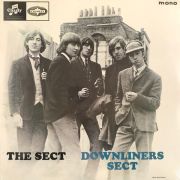 DOWNLINERS SECT - The Sect LP UUSI Charly