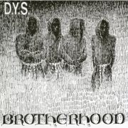 D.Y.S. - Brotherhood LP UUSI Taang