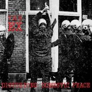 THE EX - Disturbing Domestic Peace LP UUSI More DPM