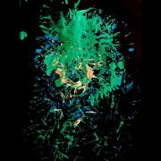 HEIKKI SELAMO - MUSIIKKIA PIENILLE TANSSIJOILLE CD