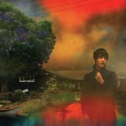 VAN ETTEN SHARON - We've Been Going About This All Wrong CD