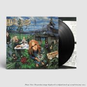 Leevi and the Leavings - Raparperitaivas LP