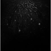 WARLOGHE - Logos of All-that-ends LP UUSI Northern Heritage