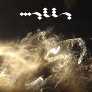 Malla - Pieni exit LP LTD Transparent Clear Vinyl