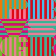 PANDA BEAR - Panda Bear Meets The Grim Reaper 2LP DOMINO