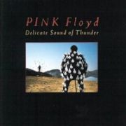 PINK FLOYD - Delicate sound of thunder 2CD