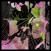 Ville Pirinen - Transsendenssi Mukavuusalueella LP