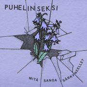 Puhelinseksi - Mitä sanoa särkyneelle? CD