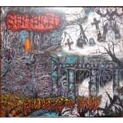SENTENCED - Shadows from the past CD