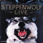 STEPPENWOLF - Live 2LP Music On Vinyl