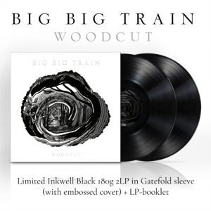 Big Big Train - Woodcut 2LP