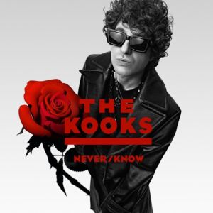 KOOKS - Never/Know CD