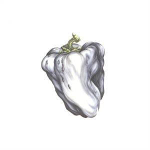 Ween - White Pepper LP Coloured Vinyl