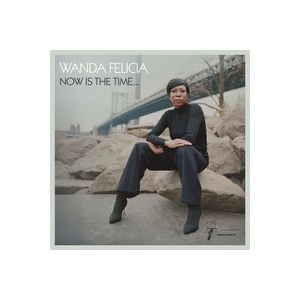 WANDA FELICIA & COLD DIAMOND & MINK - Now is the time LP