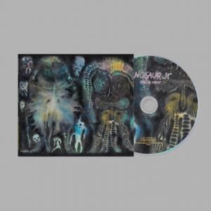 Dinosaur Jr. - There Near CD