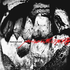 Poison the Well - Peace in Place CD