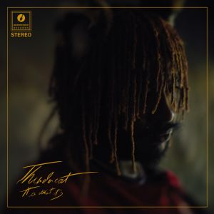 THUNDERCAT - It is What It is 2LP Deluxe Clear vinyl