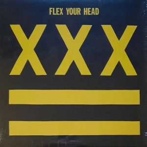 V/A - Flex your head LP Dischord UUSI XXX-cover