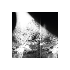 GODSPEED YOU BLACK EMPEROR - Asunder, Sweet And Other Distress LP