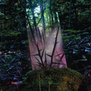 Jensen Sportag ‎– Stealth Of Days LP  Cascine
