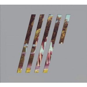 WILSON STEVEN - 4½ LP