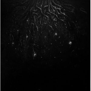 WARLOGHE - Logos of All-that-ends LP UUSI Northern Heritage