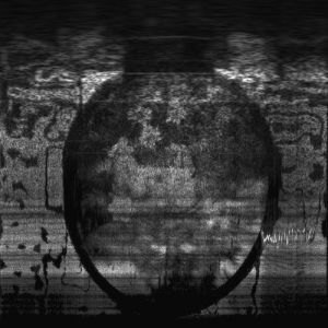 Lauri Ainalan Orpokotijuhlat Saarella - Profetta heidän seassansa on LP LTD 100 Copies