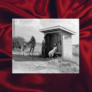 Ani Harmi - Rakkaudesta ja kuolemasta LP UUSI
