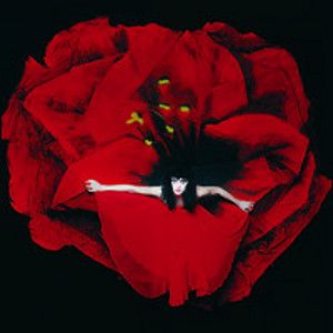 SMASHING PUMPKINS - Adore REISSUE