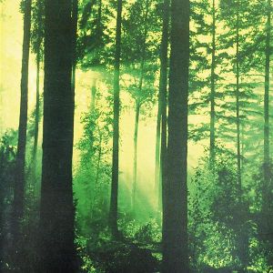THY SERPENT - Forests Of Witchery LP UUSI